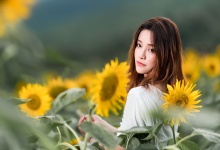 茶叶中的宝藏：盘点喝茶的七大功效